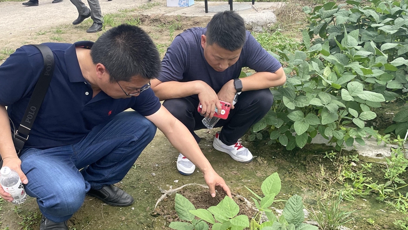 新光公司赴寧波參加全生物降解地膜替代技術(shù)交流會(huì)